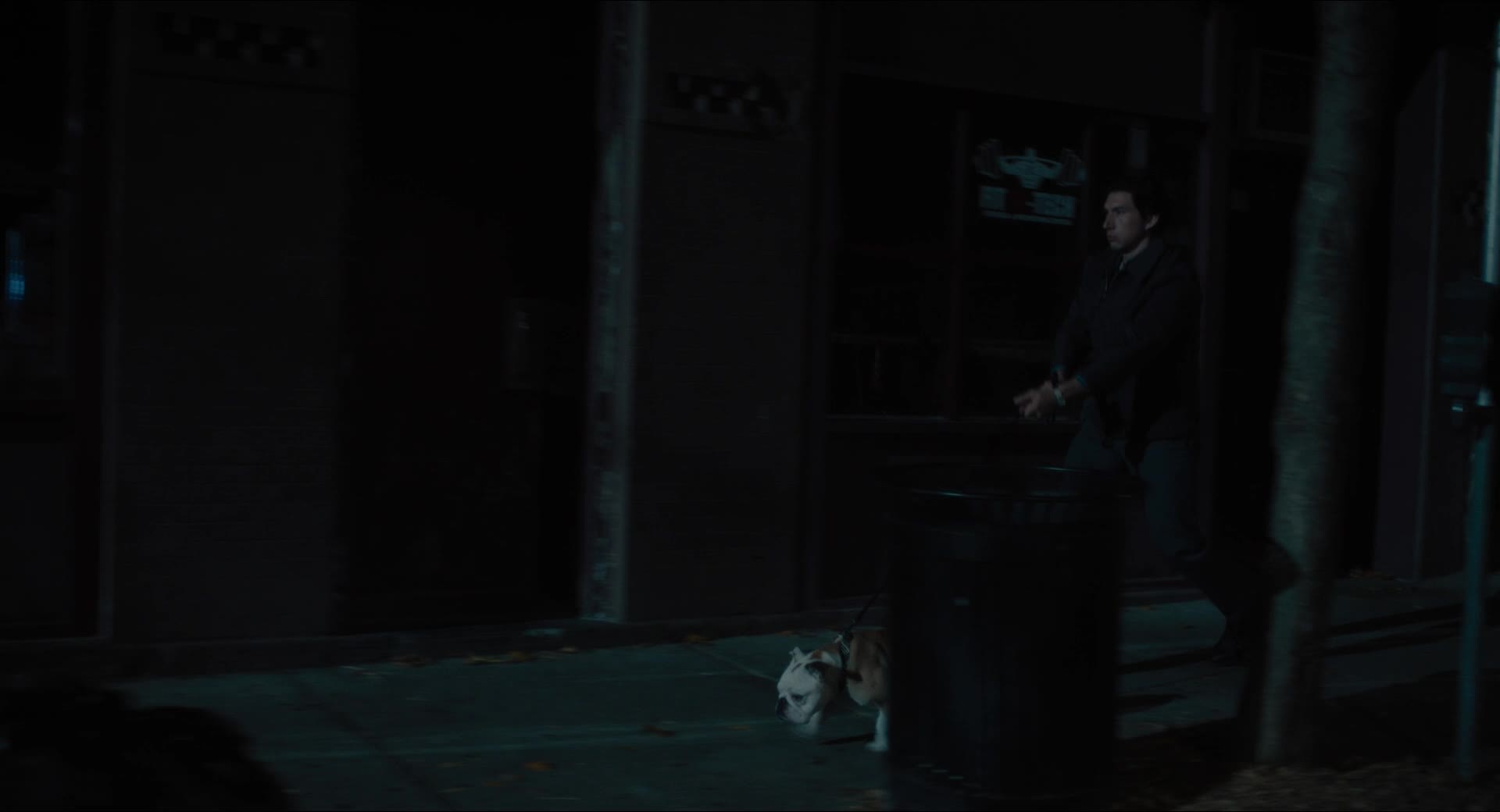 帕特森 蓝光原盘下载 + 高清MKV版/ 派特森(台) / 柏德逊(港) 2016 Paterson 41.07G