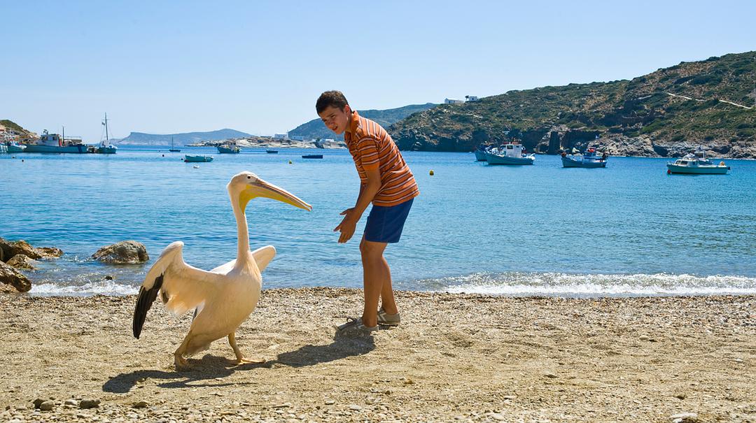 %title插图%num 男孩与鹈鹕 蓝光原盘下载+高清MKV版/Nicostratos 2011 Nicostratos, le Pélican 20.4G