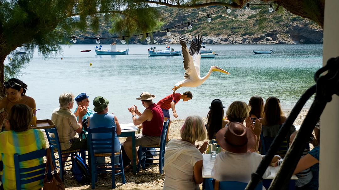 %title插图%num 男孩与鹈鹕 蓝光原盘下载+高清MKV版/Nicostratos 2011 Nicostratos, le Pélican 20.4G