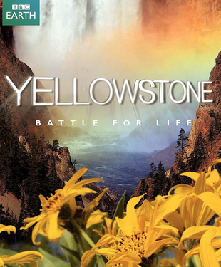 黄石公园 / BBC黄石公园 2009 [国英双语 简繁中字] 40.39G