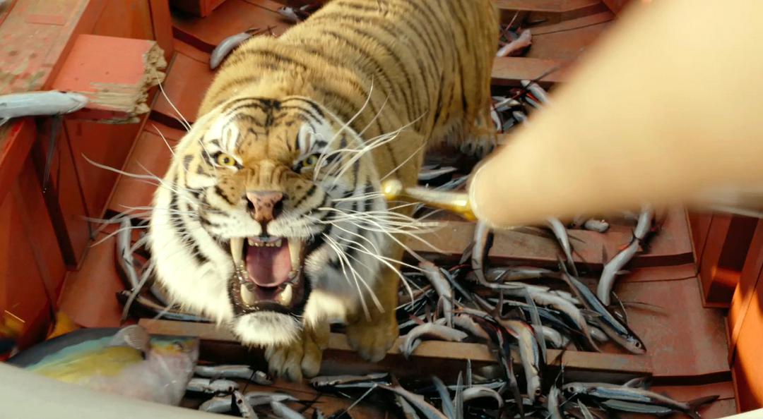 %title插图%num 少年派的奇幻漂流 4K 3D蓝光原盘下载+高清MKV版 /少年Pi的奇幻漂流/Life.of.Pi 58.9G