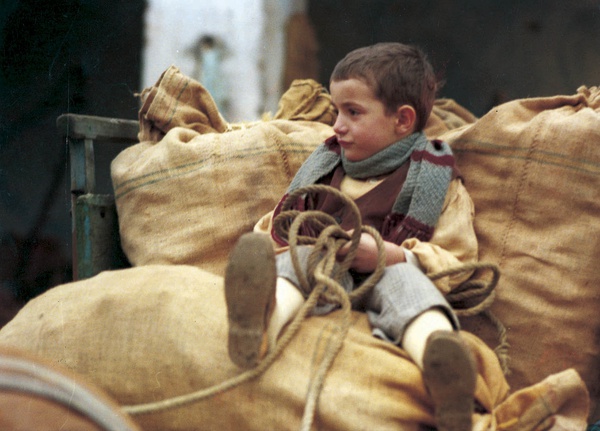 %title插图%num 木屐树 蓝光高清版下载 1978 L'albero degli zoccoli 17.5G