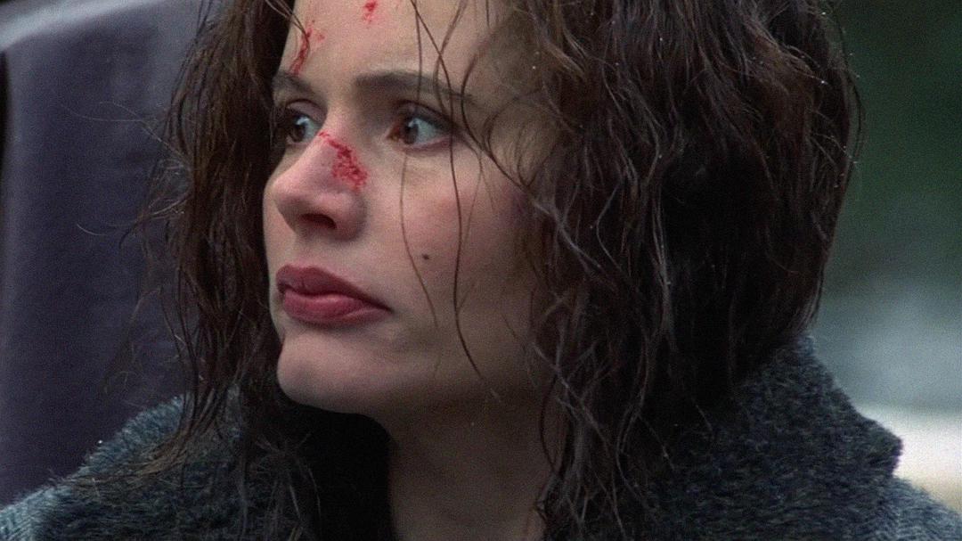 %title插图%num 特工狂花 蓝光原盘下载+高清MKV版/失忆女特工 / 夺命总动 / 追命总动员 1996 The Long Kiss Goodnight 23.9G