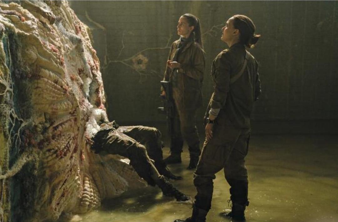 %title插图%num 湮灭 4K蓝光原盘下载+高清MKV版 /灭。境(港) / 灭绝(台) / 遗落的南境1:湮灭 2018 Annihilation 49.7G