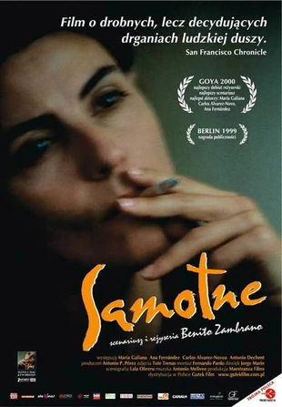 天涯寻梦 蓝光高清MKV版/孤独与苦闷 1999 Solas 8.32G