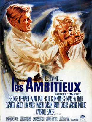 江湖男女 蓝光高清MKV版/江湖豪客 1964 The Carpetbaggers 13.63G