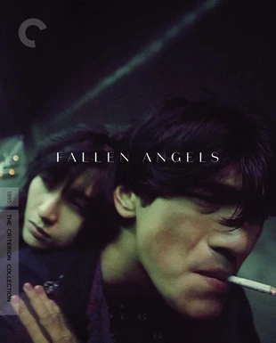 堕落天使 蓝光高清MKV版/Fallen Angels 1995 墮落天使 13.9G
