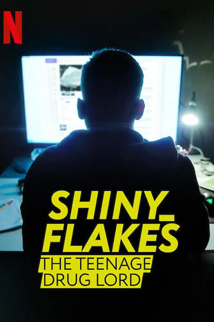 暗网青年毒枭 WEB-DL版下载 2021 Shiny_Flakes: The Teenage Drug Lord 8.4G