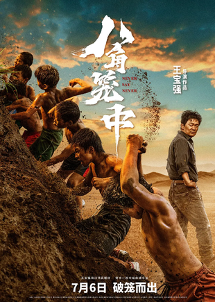 八角笼中 WEB-DL版下载/Never Say Never / Octagonal 2023 八角笼中 20.97G