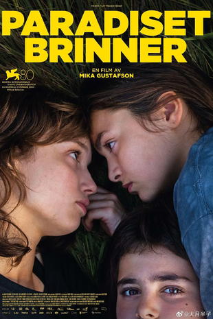 天堂在燃烧 WEB-DL版下载/Sisters / Paradise Is Burning 2023 Paradiset brinner 2.99G