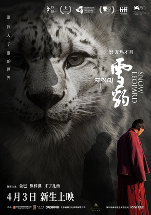 雪豹 蓝光高清MKV版/Snow Leopard 2023 雪豹 14.97G