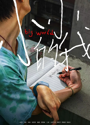 小小的我 WEB-DL版下载/Big World 2024 小小的我 24.23G